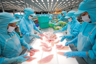 Nhận diện vấn đề tồn tại, xác định dạng lãng phí với phương pháp người điều phối sản xuất