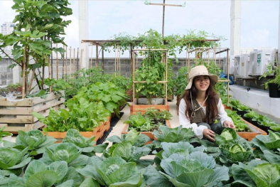 Phân Bón Cà Mau bắt nhịp xu hướng nông nghiệp đô thị