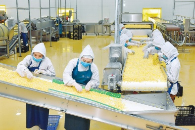 Đồng Nai: Doanh nghiệp ứng dụng sáng tạo công nghệ, nâng cao năng suất chất lượng nông sản