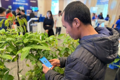 Phân bón Cà Mau ra mắt AI tính năng chẩn đoán sâu bệnh trên ứng dụng 2Nông