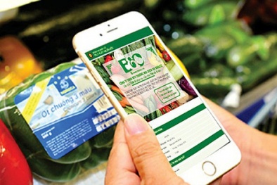 Yêu cầu đối với hệ thống truy xuất nguồn gốc theo TCVN 12850:2019