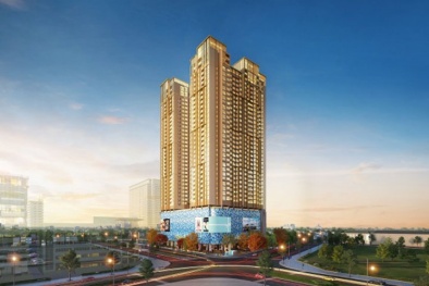 The Diamond Residence triển khai tiếp nhận hồ sơ làm thủ tục “sổ hồng” cho khách hàng