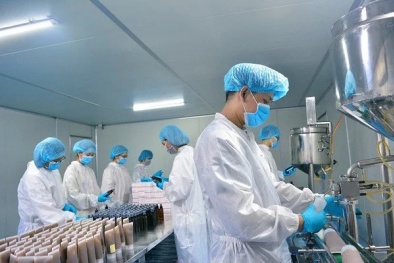 Nhà sản xuất dược mỹ phẩm phải đáp ứng yêu cầu gì về truy xuất nguồn gốc theo TCVN 13989:2024?