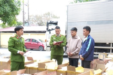 Bắt giữ 141.100 bao thuốc lá lậu tại Ninh Bình