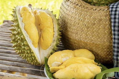 Gia tăng tần suất kiểm tra sản phẩm sầu riêng Việt Nam tại thị trường EU