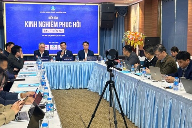 Tăng cường khả năng chống chịu và phục hồi bền vững trước thiên tai