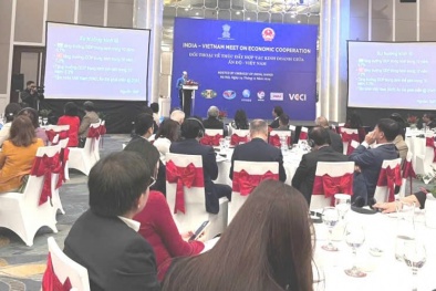 Thương mại song phương Việt Nam - Ấn Độ sẽ vượt mốc 15 tỷ USD