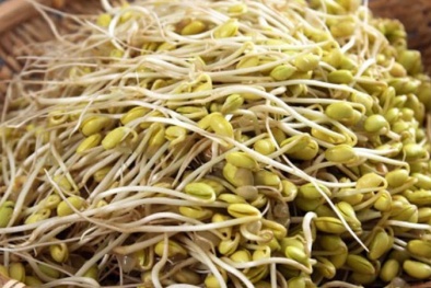 Chuyên gia chỉ cách rửa sạch giá đỗ đề phòng hóa chất độc hại