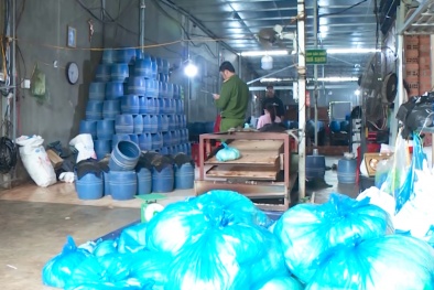 Đắk Lắk: Phát hiện hơn 20 tấn giá đỗ ngâm chất cấm vô cùng độc hại