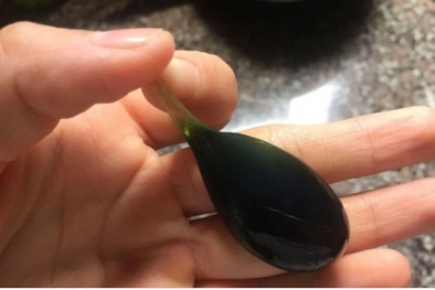 Cảnh báo ngộ độc mật cá, nguy cơ ảnh hưởng nghiêm trọng sức khoẻ 