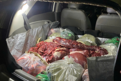 Hưng Yên ngăn chặn 2 ô tô chở thịt bò đã đổi màu, bốc mùi hôi thối