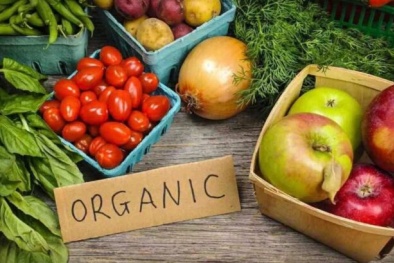 Ấn Độ ban hành tiêu chuẩn sản phẩm nông nghiệp hữu cơ ngang bằng với châu Âu