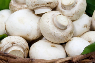 Bác sĩ chỉ ra nấm mỡ trắng có thể giúp hỗ trợ tăng đề kháng, phòng ngừa ung thư vú