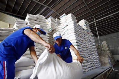 Quy định mới về kinh doanh xuất khẩu gạo của Việt Nam