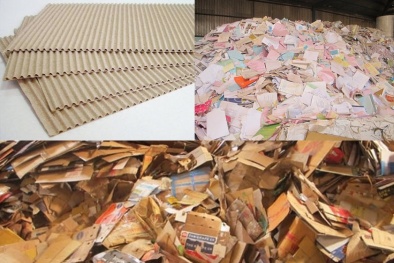 Quy chuẩn kỹ thuật quốc gia về phế liệu giấy nhập khẩu từ nước ngoài làm nguyên liệu sản xuất