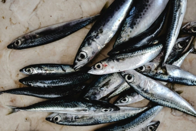 Nghiên cứu chỉ ra những loại cá nếu ăn thường xuyên giúp giảm cân và mỡ nội tạng hiệu quả