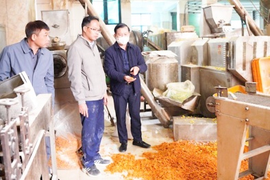 Kinh hoàng xưởng sản xuất bim bim siêu bẩn ở Hà Nội có xác chuột chết, vi phạm an toàn thực phẩm 