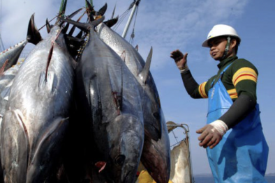 Bài học ngăn ngừa điều tra phòng vệ thương mại ngành thủy sản tại thị trường Hoa Kỳ