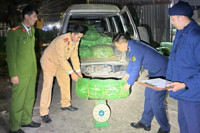 Cao Bằng: Thu giữ 1.389kg cây thuốc lá khô và vải may mặc nhập lậu