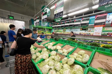 Giá cả, thị trường năm 2024 và những dự báo cho năm 2025