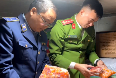 Phát hiện kho hàng chứa hàng chục tấn nội tạng động vật đông lạnh đã biến đổi màu sắc, hôi thối