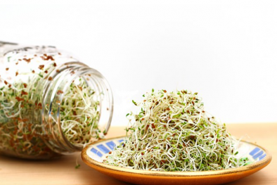 Lưu ý khi ăn giá đỗ sống để tránh ngộ độc vì tiềm ẩn nhiều vi khuẩn nguy hiểm