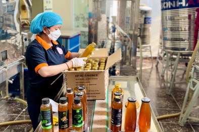 Truy xuất nguồn gốc mật ong theo TCVN 13843:2023