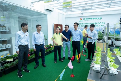 Phân Bón Cà Mau khai trương cửa hàng Nông nghiệp đô thị đầu tiên tại Tp.HCM