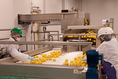 Truy xuất nguồn gốc ngành chế biến nước quả theo TCVN 13814:2023