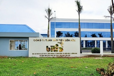 Công ty TNHH Bình Tiên Biên Hòa bị xử phạt do không có giấy phép môi trường