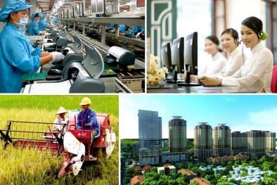 Nghị quyết của Chính phủ về cải thiện môi trường kinh doanh