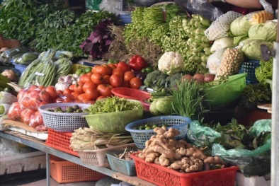 Chủ động phòng tránh ngộ độc thực phẩm dịp Tết Nguyên đán