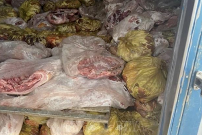 Xử lý nghiêm tình trạng gom lợn chết, lợn bị bệnh về làm giò chả dịp tết