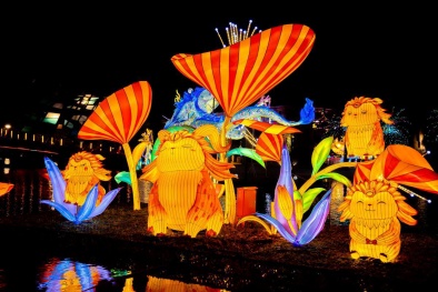 Những trải nghiệm lần đầu tiên trên thế giới tại Lễ hội đèn lồng quốc tế Ocean
