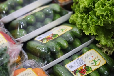 TCVN 13167:2020 quy định tiêu chí đánh giá đối với hệ thống truy xuất nguồn gốc thực phẩm