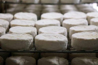 Singapore thu hồi phô mai Pháp do lo ngại nhiễm khuẩn Listeria