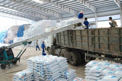 Công ty TNHH L&C HAN Việt Nam bị xử phạt do hoạt động kinh doanh trái phép