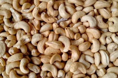 Tiêu chuẩn TCVN 13752:2023 về nhân hạt điều rang dùng để sử dụng trực tiếp