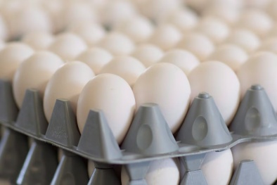 Canada cảnh báo nguy cơ nhiễm khuẩn salmonella, thu hồi nhiều nhãn hiệu trứng gà