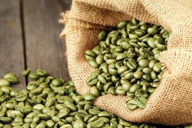 Truy xuất nguồn gốc chuỗi cung ứng cà phê nhân theo TCVN 13840:2023 