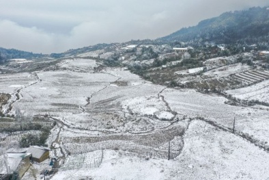 Thủ tướng chỉ đạo chủ động phòng, chống rét đậm, rét hại kéo dài