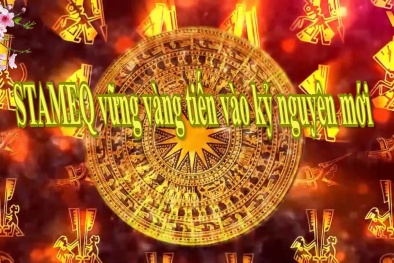 STAMEQ vững vàng tiến vào kỷ nguyên mới