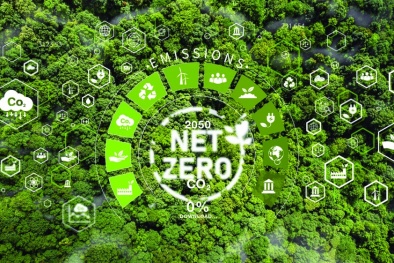 Hướng đến tương lai Net Zero