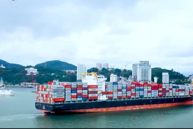 Kinh tế Việt Nam 2025: Đà cất cánh trong kỷ nguyên mới