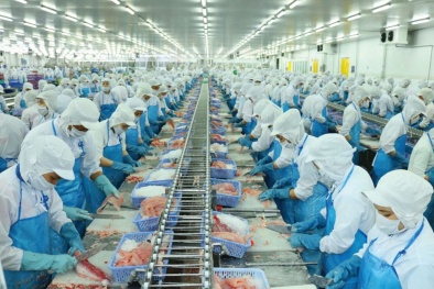 Năng suất lao động - chìa khóa cho sự thịnh vượng quốc gia