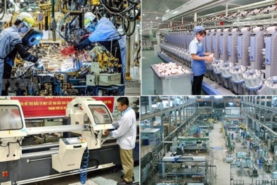 Nâng cao năng suất và chất lượng doanh nghiệp thông qua công cụ cải tiến