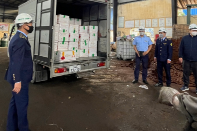 Tiêu hủy lượng lớn mỹ phẩm không đạt chất lượng và táo đỏ, rượu nhập lậu 