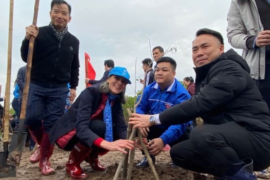 Trồng rừng ngập mặn để bảo vệ môi trường, chống biến đổi khí hậu