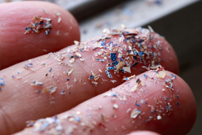 Báo động vi nhựa xâm nhập vào não người, tồn tại trong mây tác động tiêu cực tới thời tiết