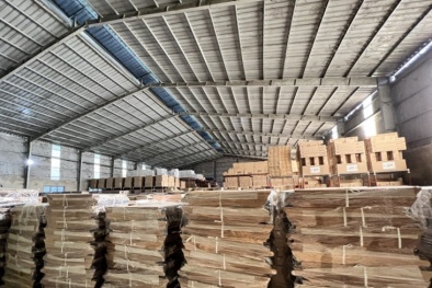 Ứng dụng công cụ cải tiến MFCA: Kinh nghiệm từ doanh nghiệp thành công